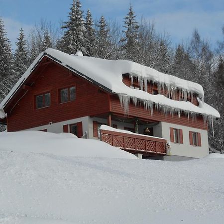 Vila Kamila Janske Lazne Rum bild