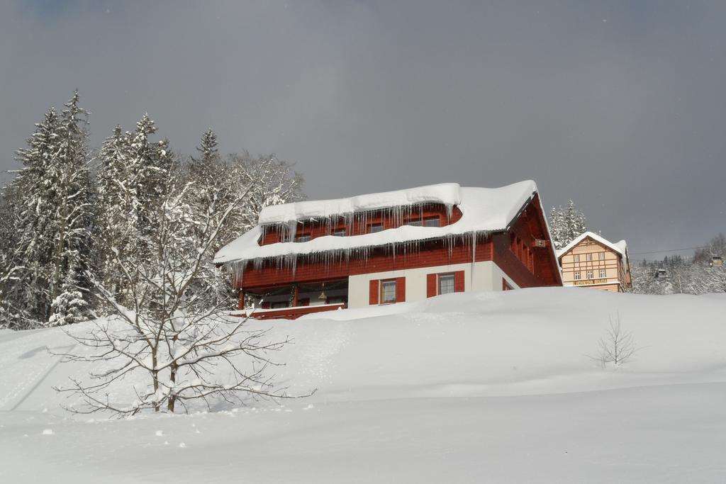 Vila Kamila Janske Lazne Rum bild